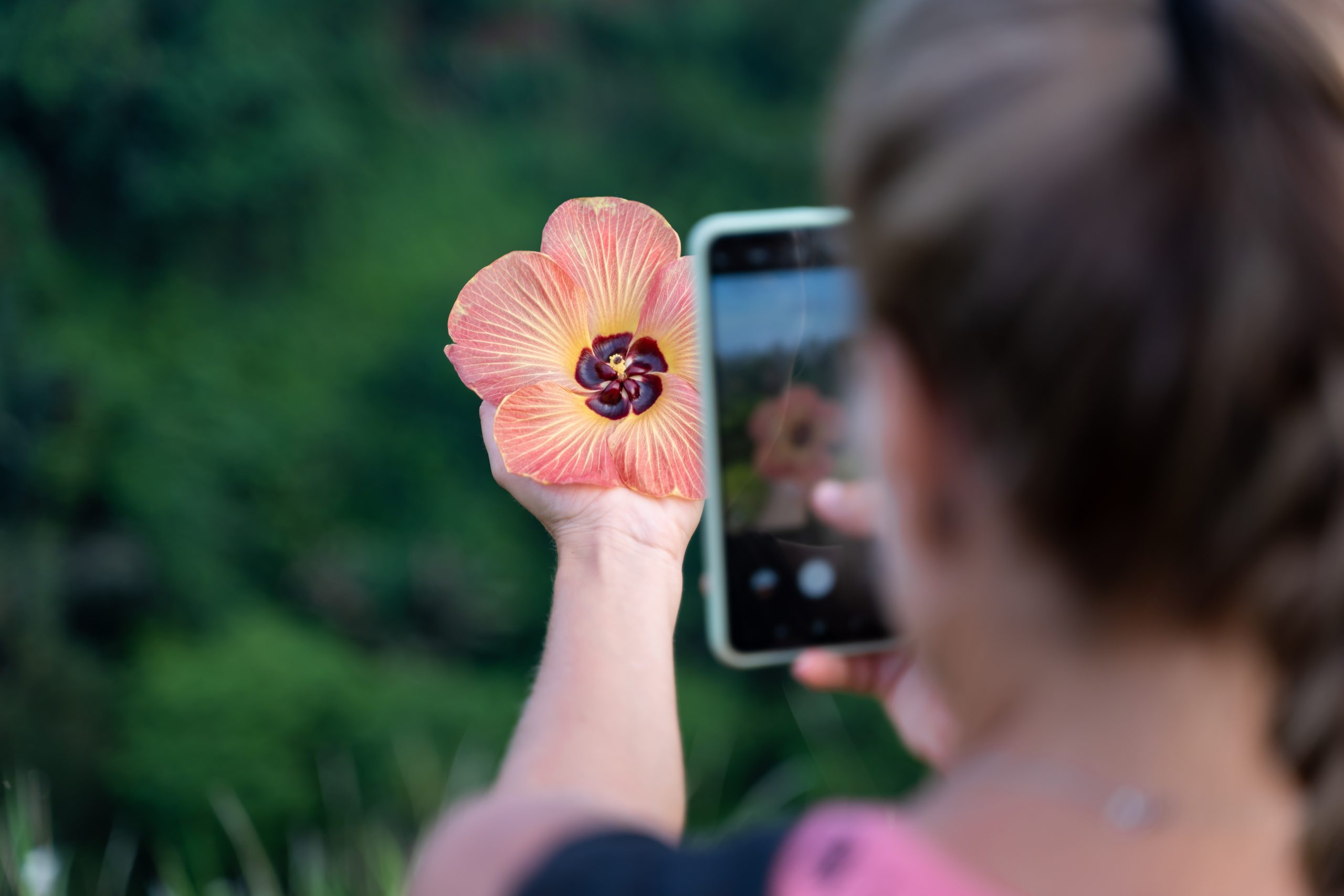 Blonde woman with a braid taking a picture with her mobile phone of a flower she is holding in her hand in the middle of a green field